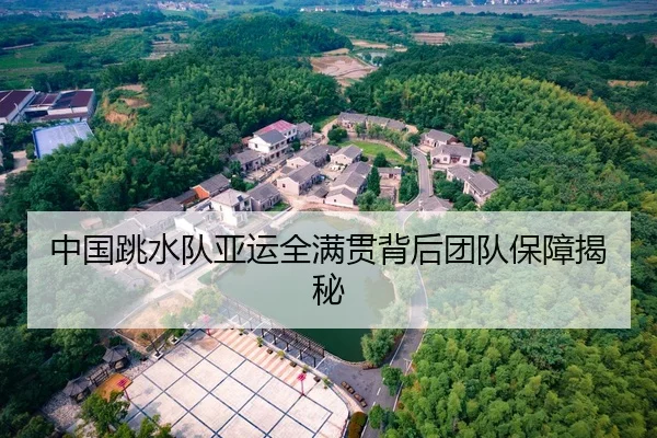 中国跳水队亚运全满贯背后团队保障揭秘